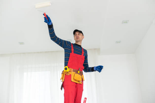 Best Mold Odor Removal Services  in USA